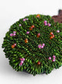 Sacred Groove Brooch