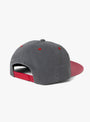 Michael Cap Polar Speed Club Grey and Red from Polar Skate Co. at Couverture & The Garbstore
back