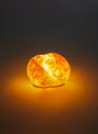 The Petit Lamp from Pampshade at Couverture & The Garbstore
light