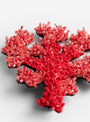 Coral Brooch