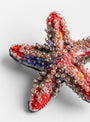 The Pink Star Brooch from Trovelore at Couverture & The Garbstore
detail 