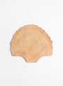 Sea Shell Wall Art 2