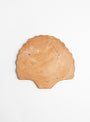 Sea Shell Wall Art 3