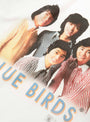 Old Skool Pop Idol Blue Birds T-Shirt White from Rice Nine Ten at Couverture & The Garbstore
detail