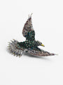 The Starling Brooch from Trovelore at Couverture & The Garbstore
front 