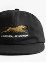 Natural Selection Cap Black Black BROTHER BROTHER (embroidery detail) at Couverture & The Garbstore