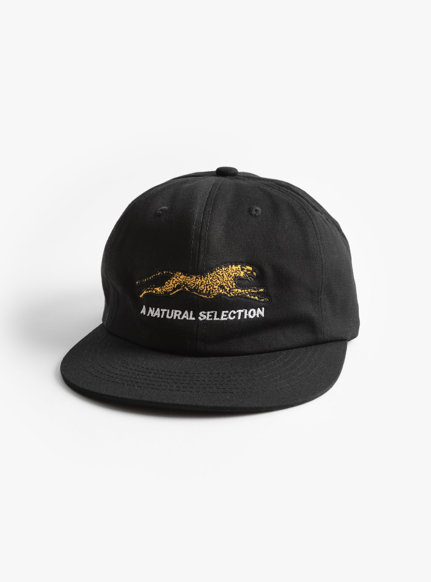 Natural Selection Cap Black Black BROTHER BROTHER (front) at Couverture & The Garbstore