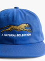 Natural Selection Cap Royal Blue Royal Blue BROTHER BROTHER (embroidery detail) at Couverture & The Garbstore