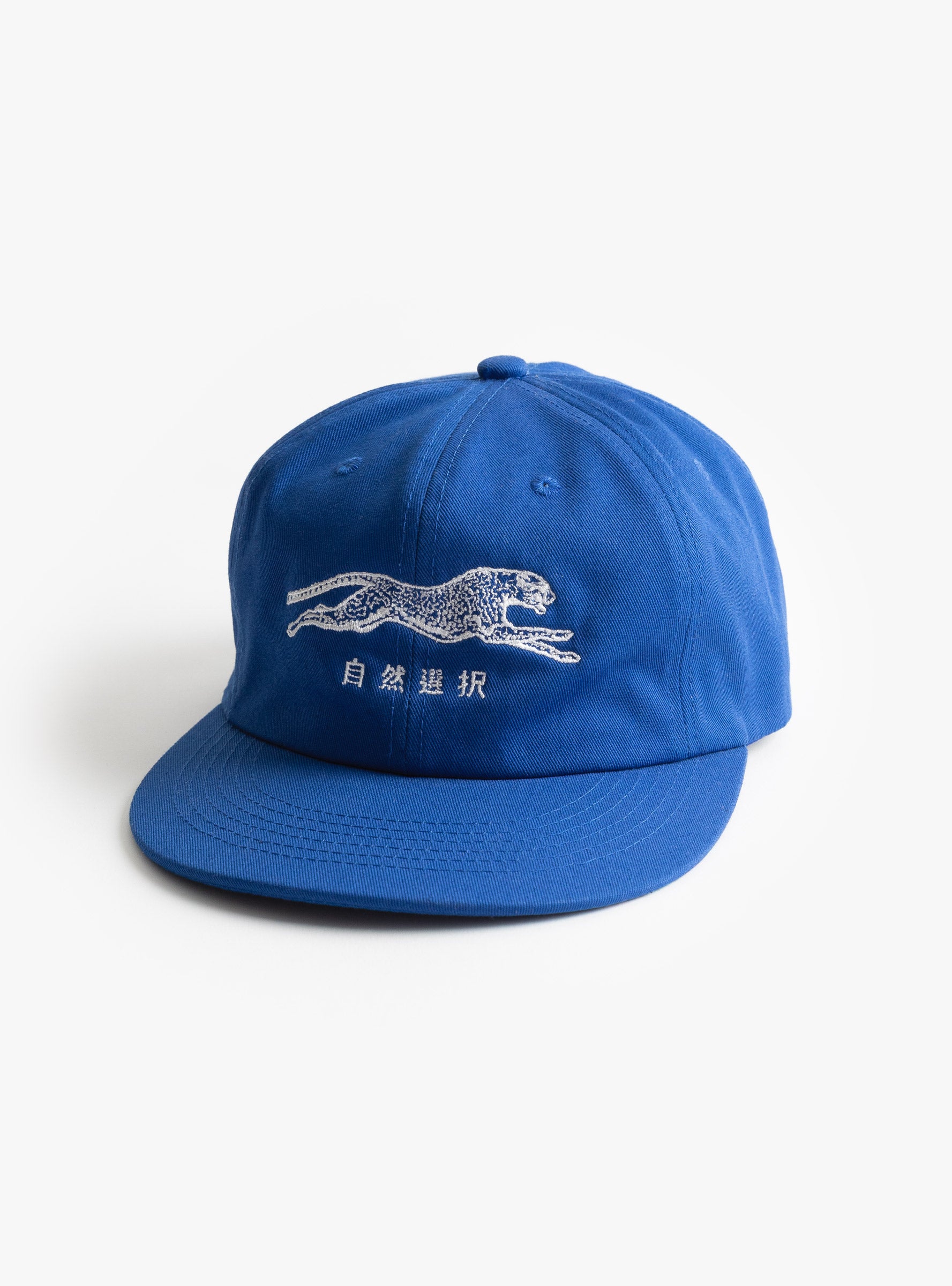 Kanji Natural Selection Cap Royal Blue BROTHER BROTHER (front) at Couverture & The Garbstore