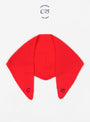 C25 Embroidered Triangle Scarf Cherry from Himalayan Cashmere at Couverutre & The Garbstore 
Front 