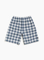 The Plaid Beach Short from Stüssy comes in Blue at Couverture & The Garbstore
front 